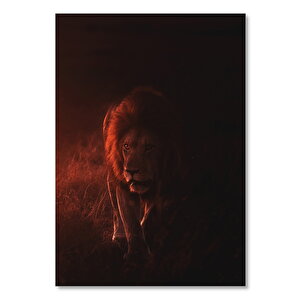 Ahşap Tablo Erkek Aslan Koyu Karanlığın İçinde 50x70 cm