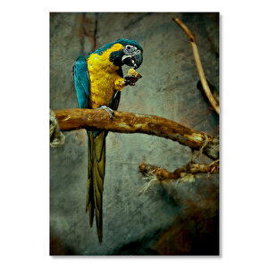 Ahşap Tablo Daldaki Sarı Mavi Macaw Papağanı
