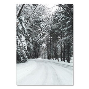 Ahşap Tablo Karlı Orman Yolu Siyah Beyaz 50x70 cm