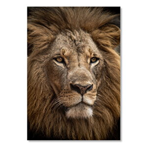 Ahşap Tablo Muhteşem Erkek Aslan Yakın Çekim 25x35 cm