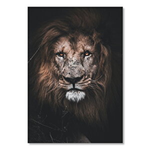 Ahşap Tablo Erkek Aslan Kavgaların İzleri 35x50 cm