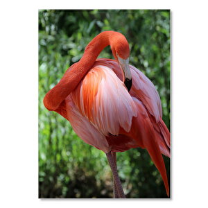 Ahşap Tablo Flamingo Tüylerini Temizliyor 25x35 cm