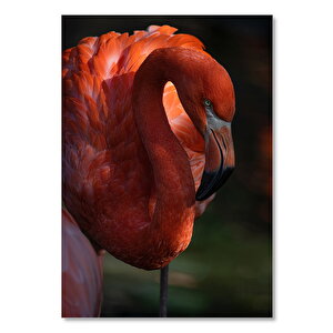 Ahşap Tablo Zarif Flamingo 35x50 cm