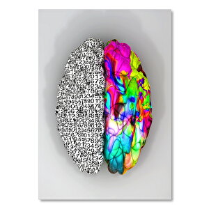 Ahşap Tablo Beyin Fonksiyonlarının Sol Ve Sağ Tarafları 50x70 cm