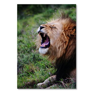 Ahşap Tablo Esneyen Erkek Aslan 50x70 cm