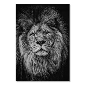 Ahşap Tablo Erkek Aslan Yaşanmışlığın İzleri 35x50 cm