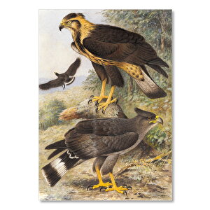 Ahşap Tablo Taçlı Sağadet Kartallar 35x50 cm