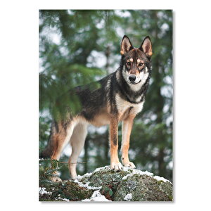 Ahşap Tablo Kayalıklar Üzerinde Tahoe Kurdu 25x35 cm