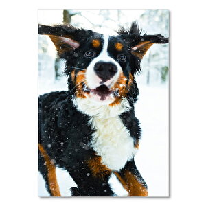 Ahşap Tablo Kar Taneleri Ve Sevimli Köpek 25x35 cm