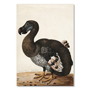 Ahşap Tablo Dodo Kuşu Çizim 50x70 cm