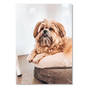 Ahşap Tablo Sevimli Kahverengi Köpek 25x35 cm