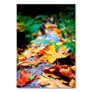 Ahşap Tablo Sonbahar Doğa Kurumuş Ve Yeşil Yapraklar Görseli 50x70 cm