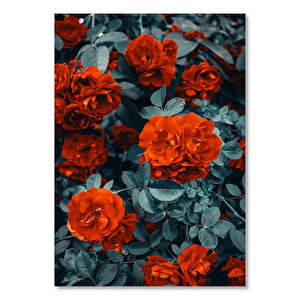 Ahşap Tabo Kırmız Renk Sarmaşık Gül Görseli 25x35 cm
