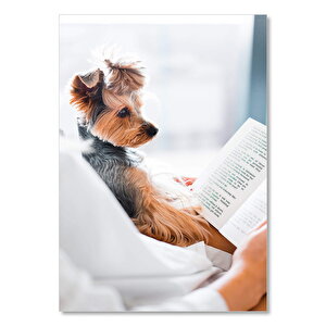 Ahşap Tablo Kitap Okuyan Sevimli Köpek 50x70 cm