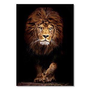Ahşap Tablo Karanlık Arkaplan Görkemli Erkek Aslan 35x50 cm