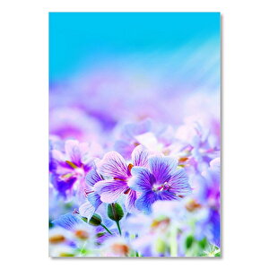 Ahşap Tablo Doğa Mor Kır Çiçekleri Güneş Işığı Görseli 25x35 cm