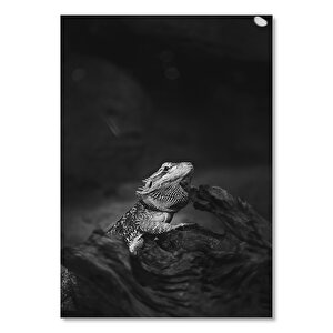 Ahşap Tablo Karanlık Mod İguana 25x35 cm