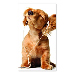 Ahşap Tablo Kulaklık Müzik Puppy Cinsi Köpek 50x70 cm