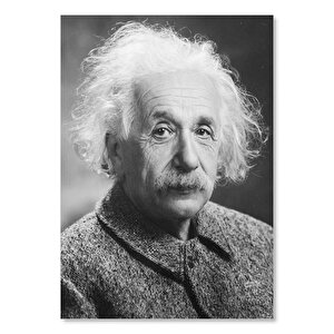 Ahşap Tablo Albert Einstein Ceket Beyaz Saç 25x35 cm