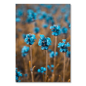 Ahşap Tablo Küçük Mavi Çiçek Tarlası