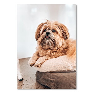 Ahşap Tablo Küçük Sevimli Kahverengi Köpekçik 35x50 cm