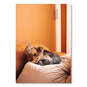 Ahşap Tablo Minder Üzerinde Kıvrılan Kahverengi Köpek 25x35 cm