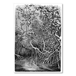Ahşap Tablo Mangrov Kökleri Bir Direk Ve Sütun Çizimi 35x50 cm