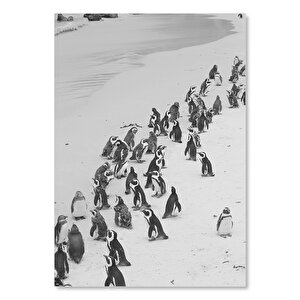 Ahşap Tablo Beyaz Kumların Üzerinde Penguenler 50x70 cm