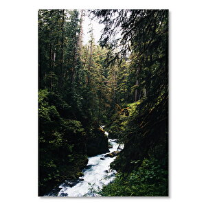 Ahşap Tablo Ormanın İçinden Akan Nehir Ve Ağaçlar