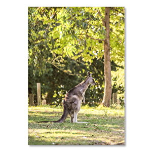 Ahşap Tablo Ağaçlar Güneş Işıkları Ve Kanguru 25x35 cm