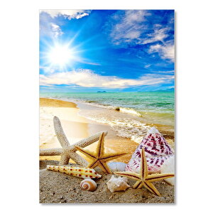 Ahşap Tablo Kumsalda Denizyıldızı Ve Deniz Kabukları 50x70 cm
