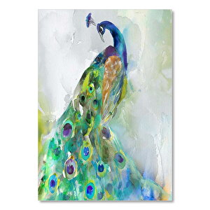 Ahşap Tablo Tavuskuşu Suluboya Çizim 35x50 cm