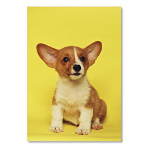 Ahşap Tablo Sarı Arkaplan Sevimli Kahverengi Beyaz Yavru Köpek 35x50 cm