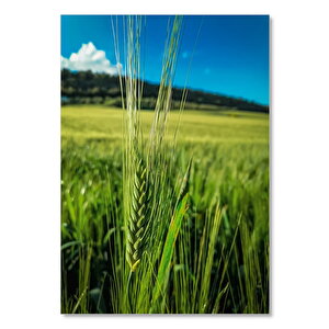 Ahşap Tablo Yeşil Buğday Başakları 50x70 cm