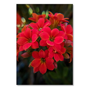 Ahşap Tablo Büyük Yapraklı Kırmızı Çiçekler 25x35 cm