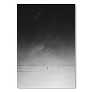 Ahşap Tablo Tellerdeki Kuşlar Ve Gri Gökyüzü 35x50 cm