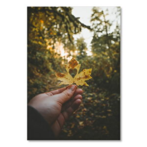 Ahşap Tablo Kalpli Çınar Yaprağı Ve Güneş Işıkları 50x70 cm