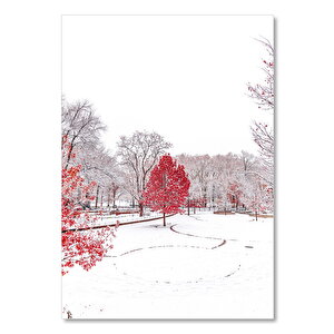 Ahşap Tablo Karlar İçindeki Kırmızı Yapraklı Ağaç 35x50 cm