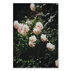 Ahşap Tablo Pembe Güller Ve Yapraklar 35x50 cm