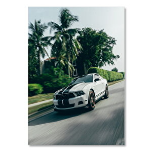 Ahşap Tablo Beyaz Ford Mustang Ve Palmiyeler 50x70 cm