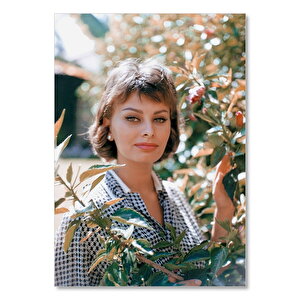 Ahşap Tablo Sophia Loren Portre 50x70 cm