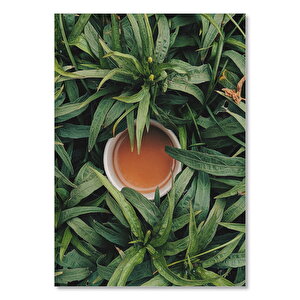 Ahşap Tablo Yeşil Yapraklar Arasında Çorba Fincanı 50x70 cm