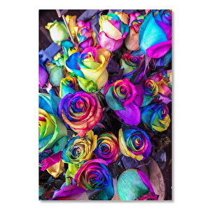 Ahşap Tablo Sarı Pembe Eflatun Karışık Renk Geçişli Güller 25x35 cm