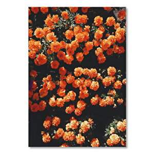 Ahşap Tablo Turuncu Çiçekler 35x50 cm