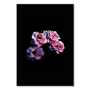 Ahşap Tablo Karanlık Arkaplan Pembe Beyaz Çiçekler 25x35 cm