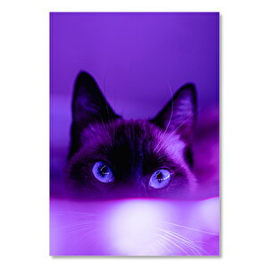 Ahşap Tablo Neonlara Bakan Meraklı Kedi 50x70 cm