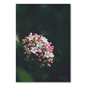 Ahşap Tablo Dalda Beyaz Ve Pembe Çiçekler 25x35 cm