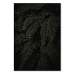 Ahşap Tablo Hurma Dalları Ve Yaprakları 50x70 cm
