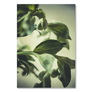 Ahşap Tablo Yeşil Yapraklar Ve Çiçekler 50x70 cm