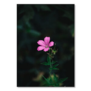 Ahşap Tablo Yalnız Pembe Çiçek 50x70 cm